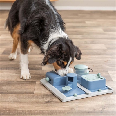 Trixie Activity Poker Box 2 Aktivitets Spil Til Hunden Level 3 Lyseblå